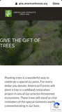 Beauty of Trees